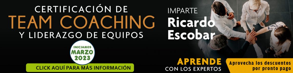 Team Coach Programacion » TEAM COACHING